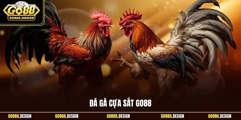da-ga-cua-sat-go88
